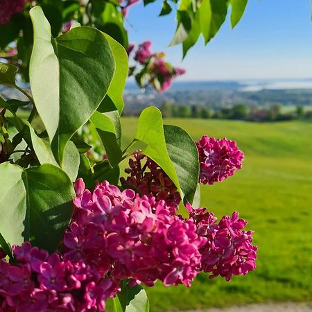 Schleipfnerhof Urlaub Auf Dem Bauernhof Villa Бернау ам Кимзе Екстериор снимка